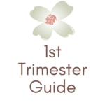 1st Trimester Guide