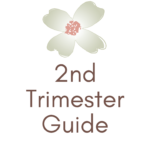 2nd Trimester Guide