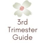 3rd Trimester Guide